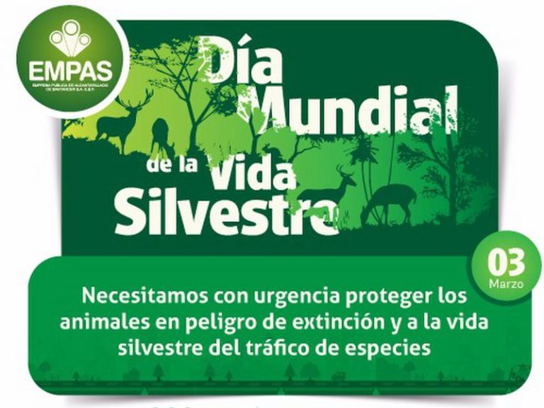 D A Mundial De La Vida Silvestre Empas S A Esp